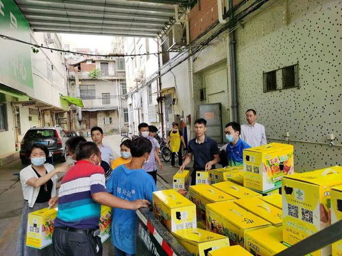 大龍街以購代捐 優質農產品認購，助力消費扶貧新篇章